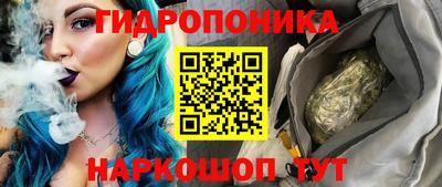 крисы Малгобек