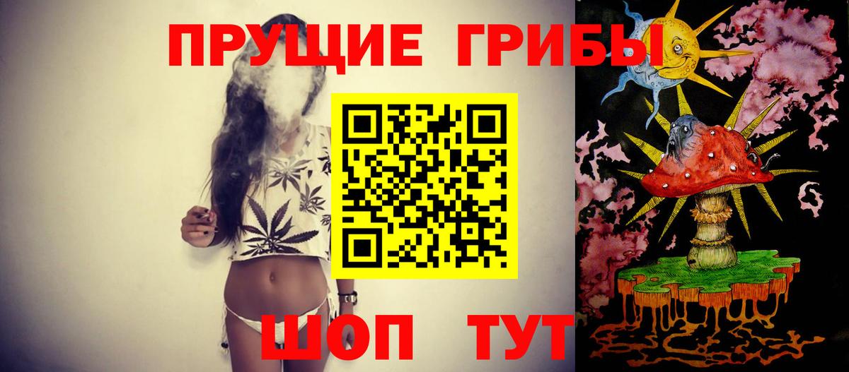 Псилоцибиновые грибы Psilocybe Тверь