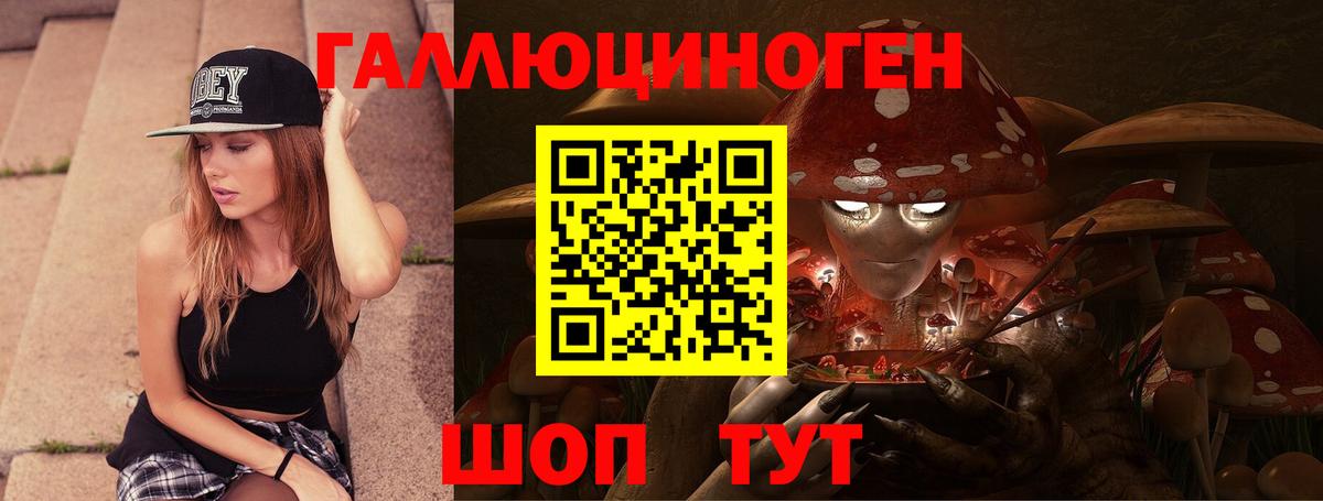 Тверь  Галлюциногенные грибы Psilocybine cubensis  Вход с VPN  Псилоцибиновые грибы Psilocybine cubensis 